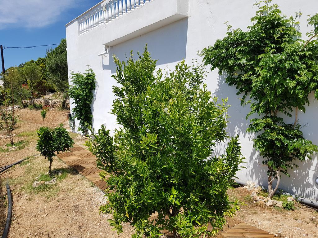 Villa Aphrodite Achlia Exterior photo